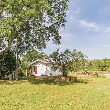 Sughereto 2 Prázdninový dům *